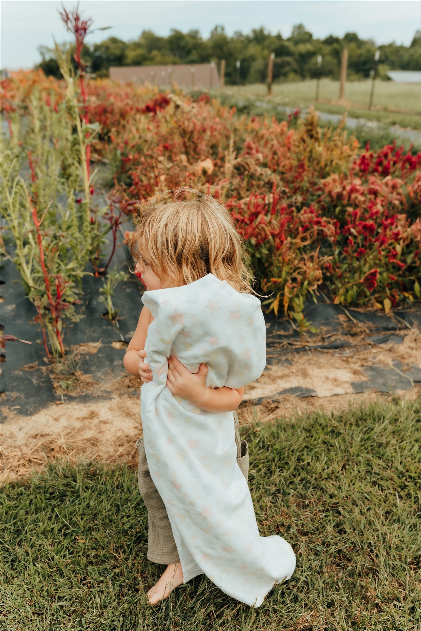 The Anjou Muslin Dohar Blanket